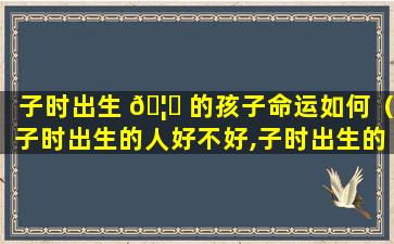 子时出生 🦈 的孩子命运如何（子时出生的人好不好,子时出生的人命运解析）